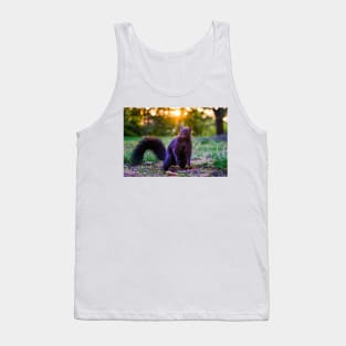 Eastern Grey Squirrel At Sunset Tank Top